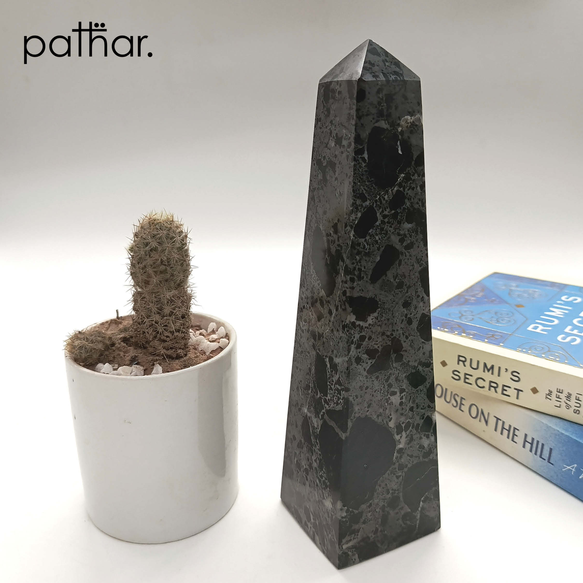 Washington Monument - Black Zebra - 6 Inch