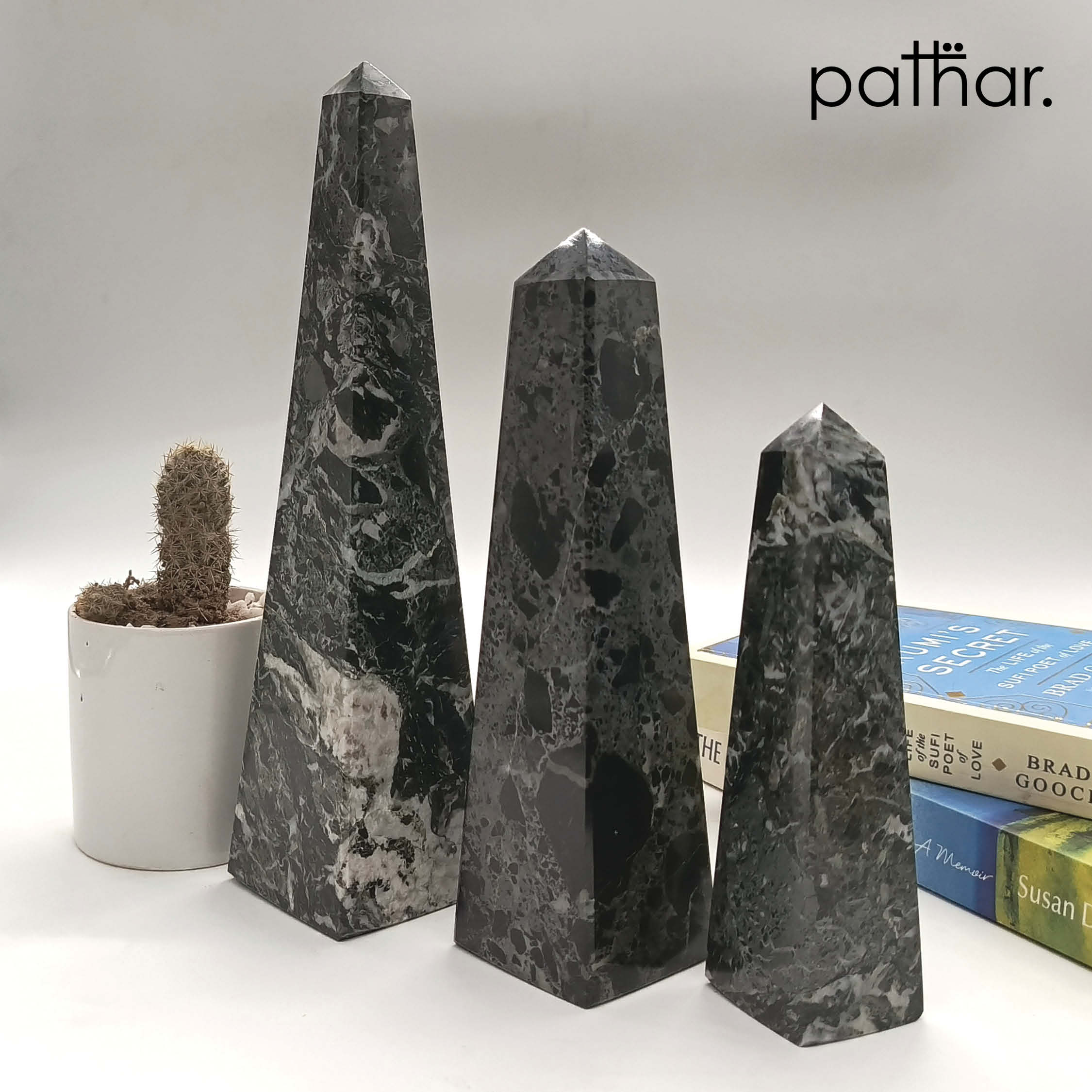 Washington Monument - Black Zebra - Set of 3