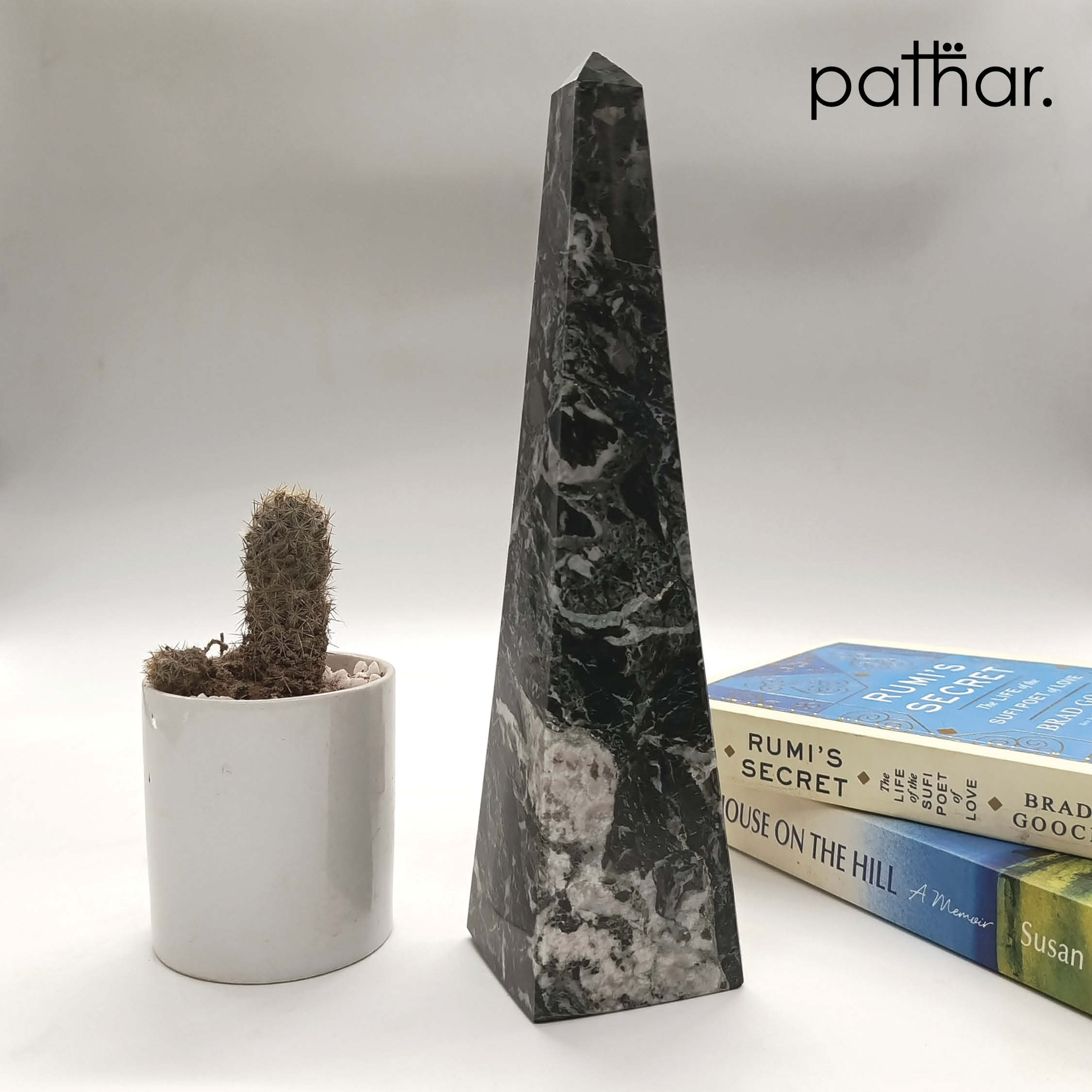 Washington Monument - Black Zebra - 10 Inch