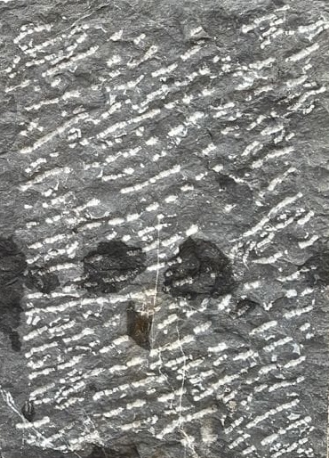 Taxila Stone - Sumbi